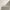 BABOR - 10D HYALURONSÄURE Ampullen-Serum - 7 x 2ml