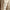 BABOR - The Cure Creme - Gesichtscreme - 50ml