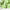 Flora & Curl Baobab Marula Restorative Bonding Mask