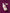 Miribel Naturals - Powerhouse Protein Creme - 237ml