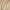 BABOR - Stress Defense Pilzcreme - 50ml